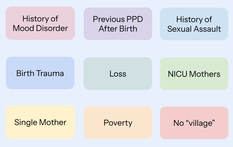 Diagram of maternal mental health risk factors